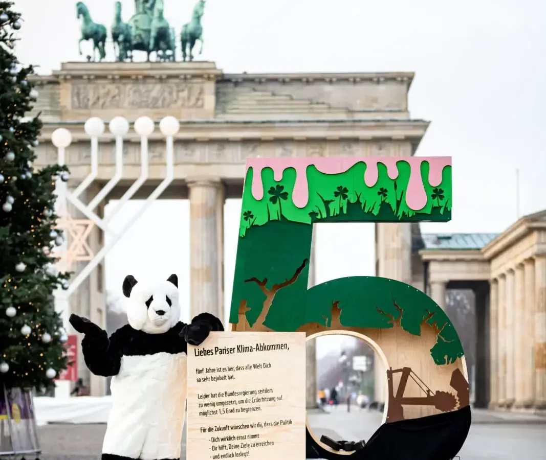 Protestaktion-5-jahre-paris-BildNUMMER-c-joerg-farys-wwf-242-1067x1600