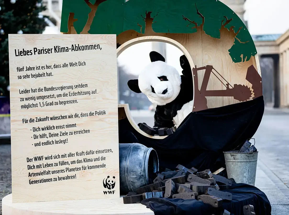 csm_Protestaktion-5-jahre-paris-236-c-joerg-farys-wwf_7030f1ba76